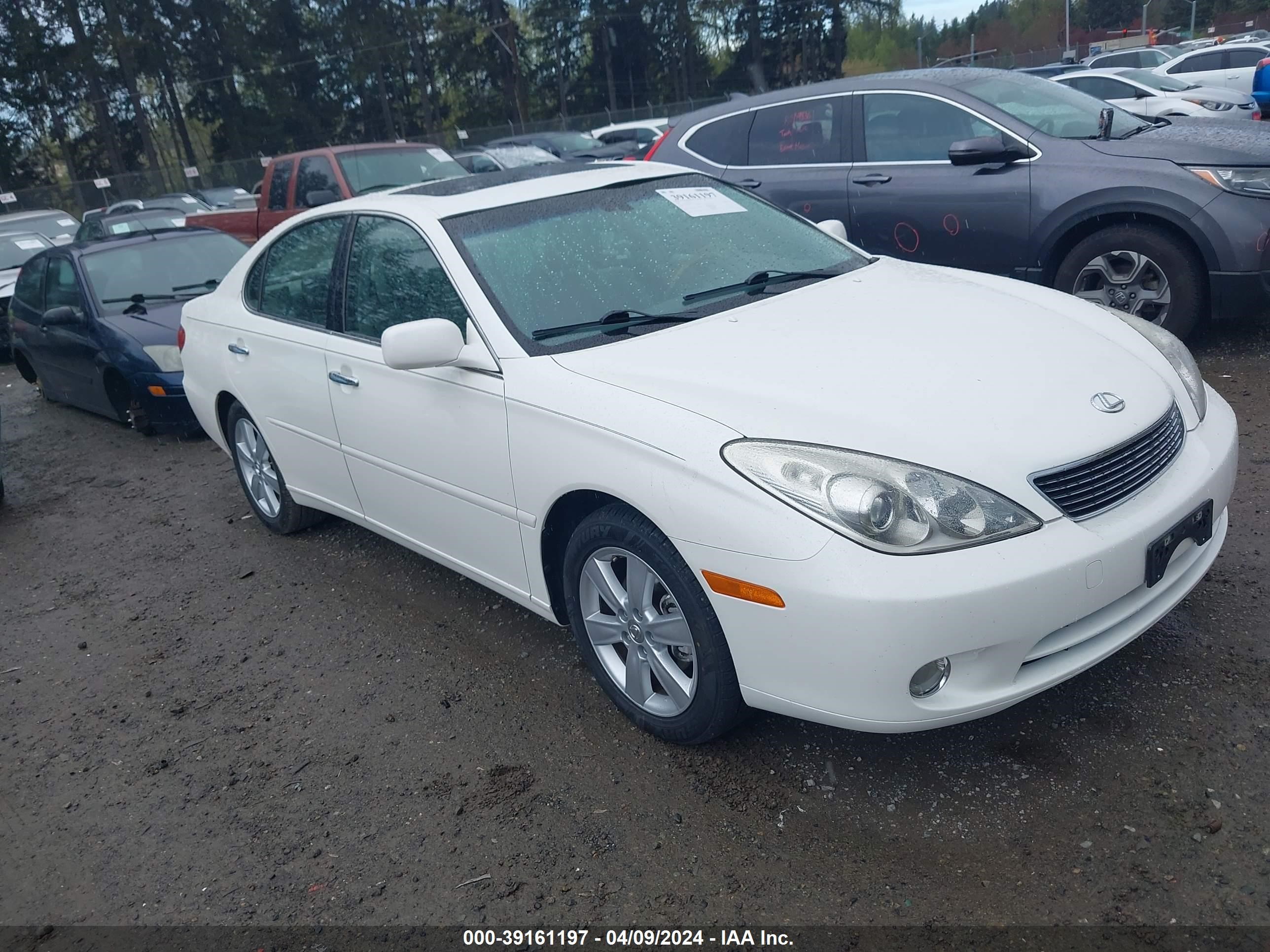 lexus es 2006 jthba30gx65172731