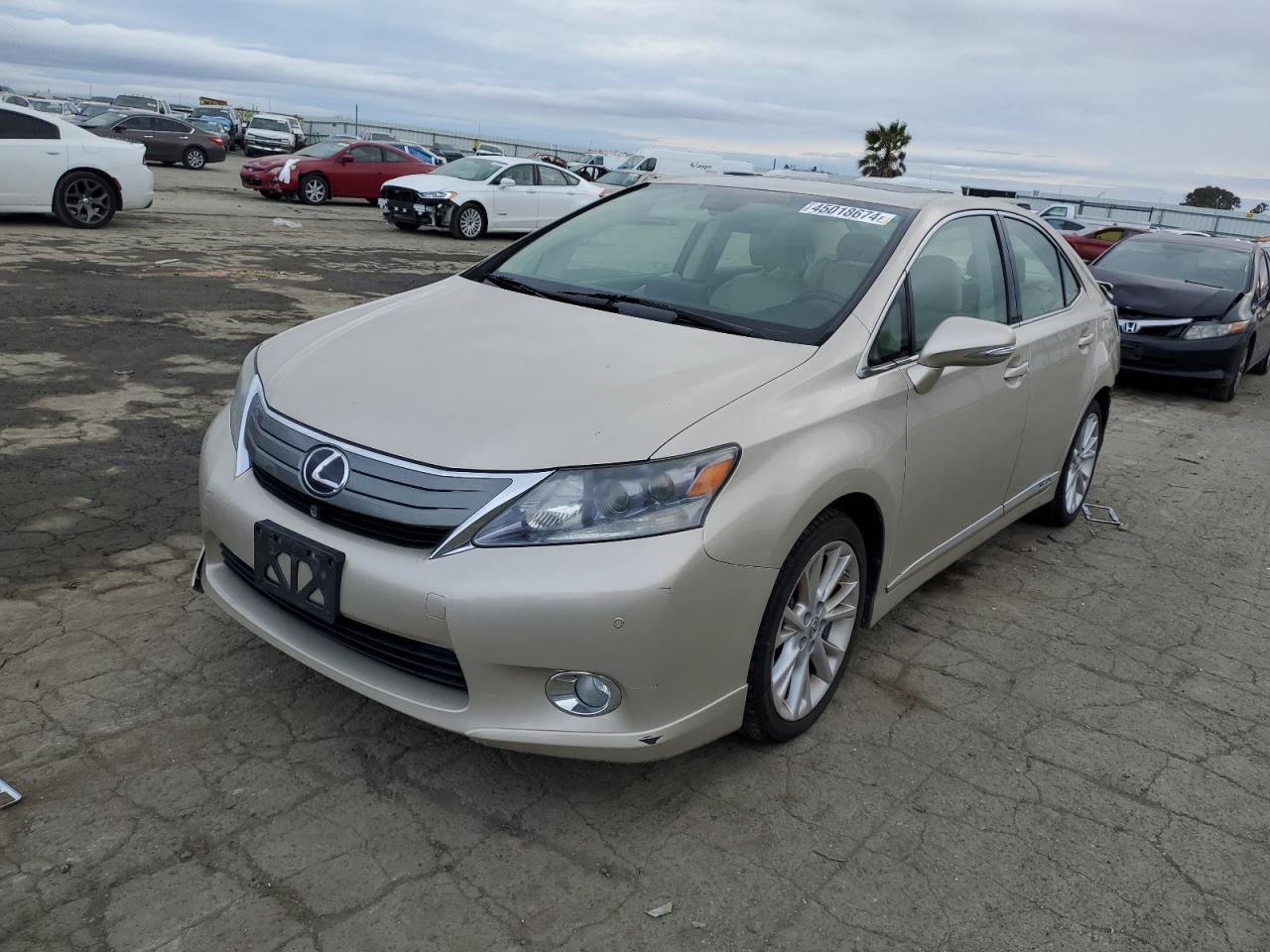 lexus hs 2011 jthbb1ba4b2046404