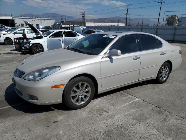 lexus es 300 2002 jthbf30g320046638