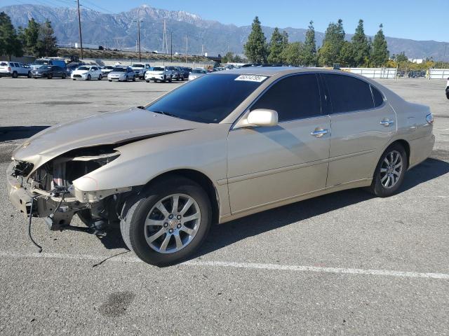 lexus es 300 2002 jthbf30g320066551