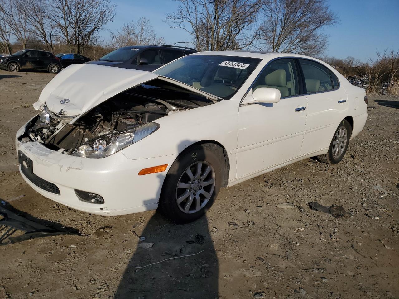 lexus es 2002 jthbf30g520032384