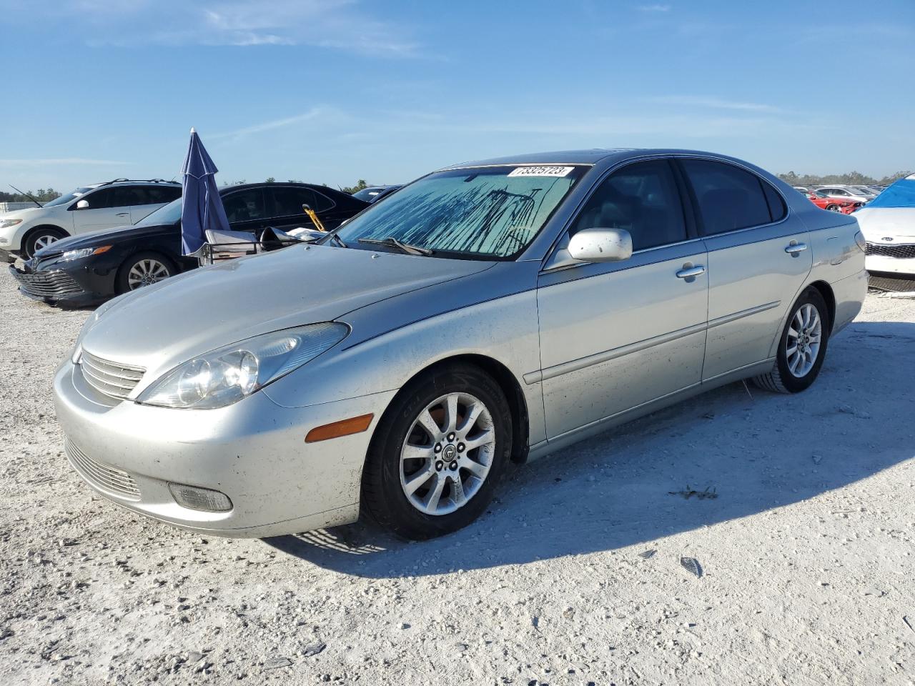 lexus es 2002 jthbf30g720064446