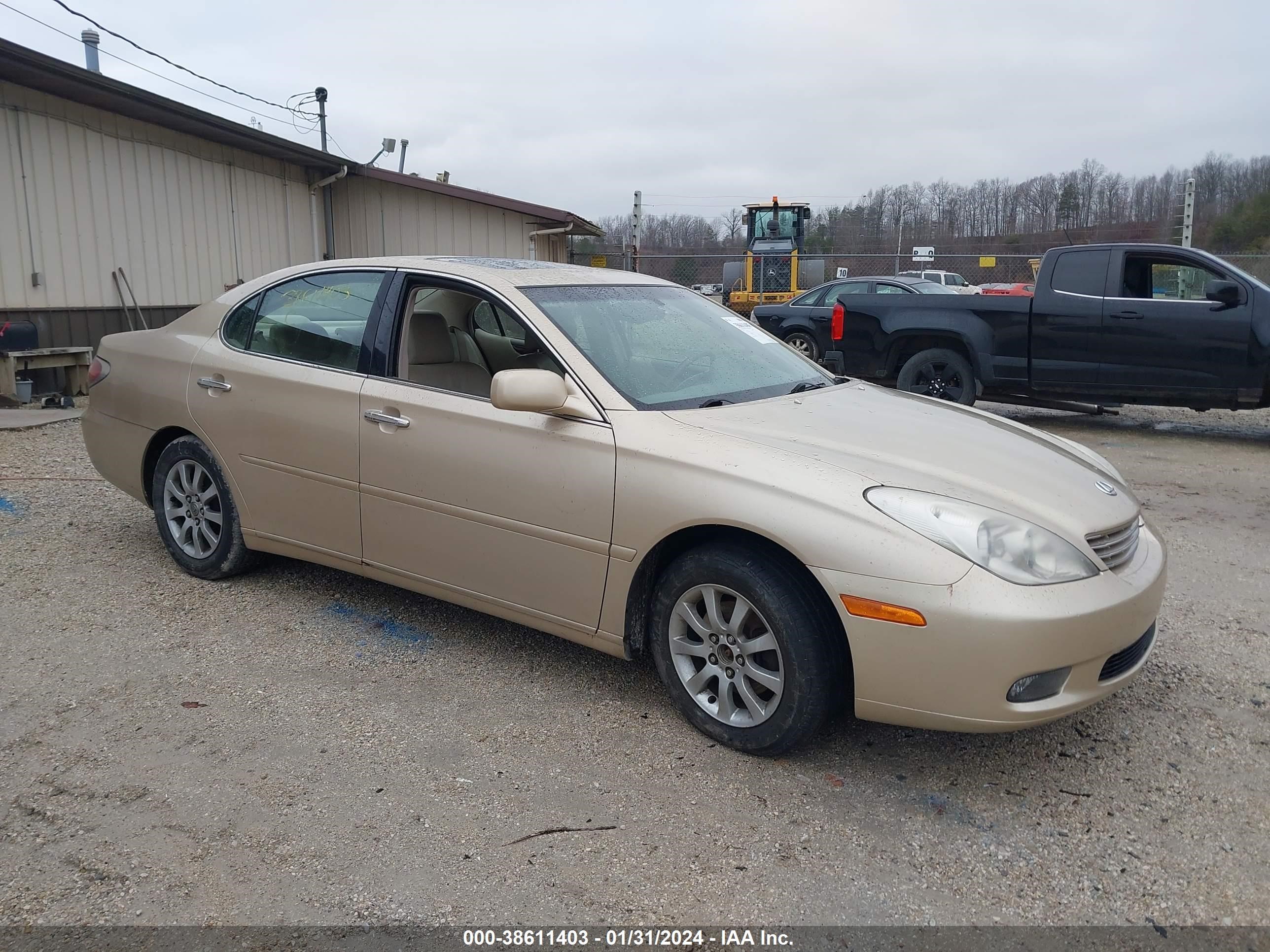 lexus es 2002 jthbf30g820039684