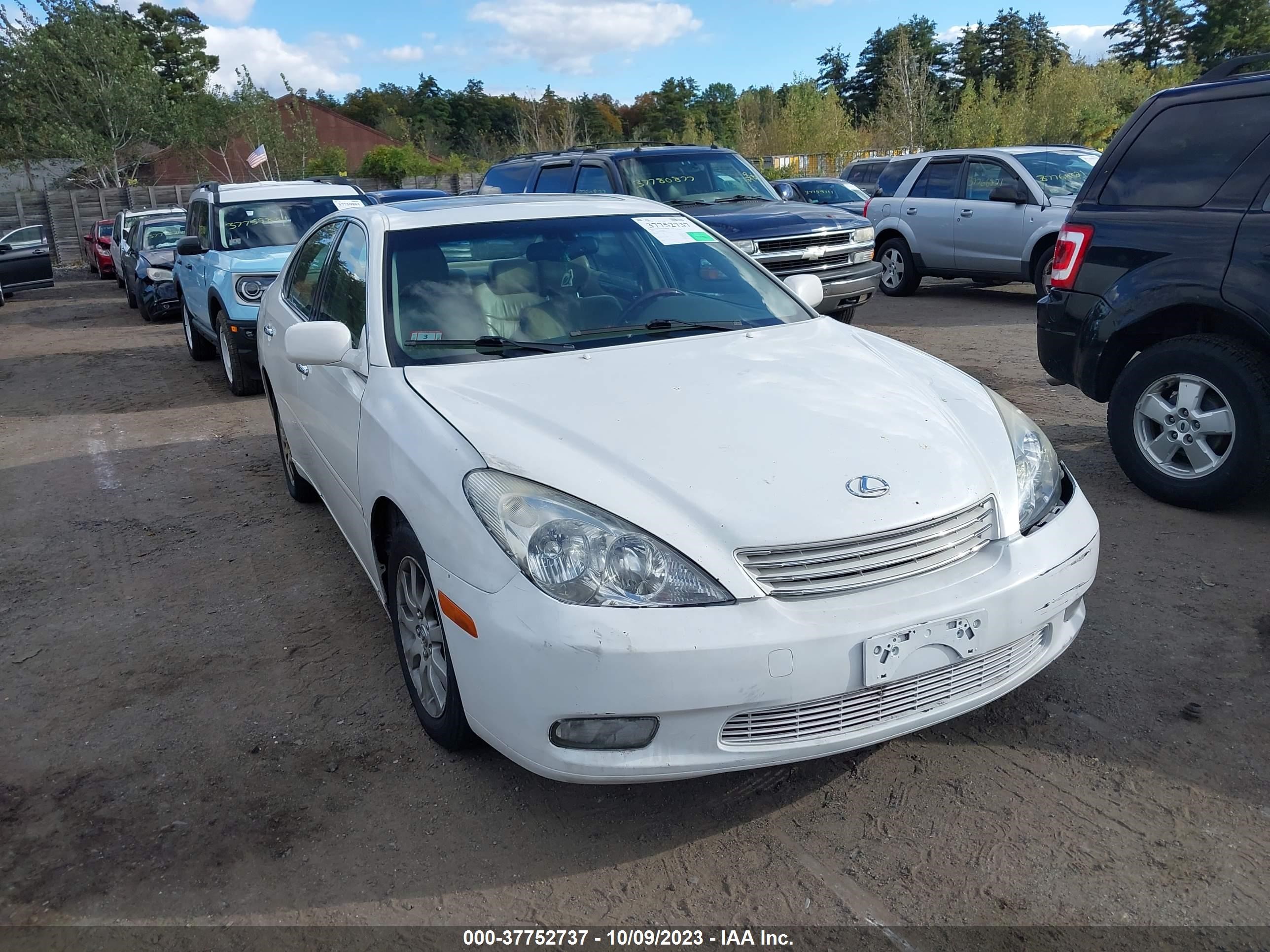 lexus es 2003 jthbf30g836015321