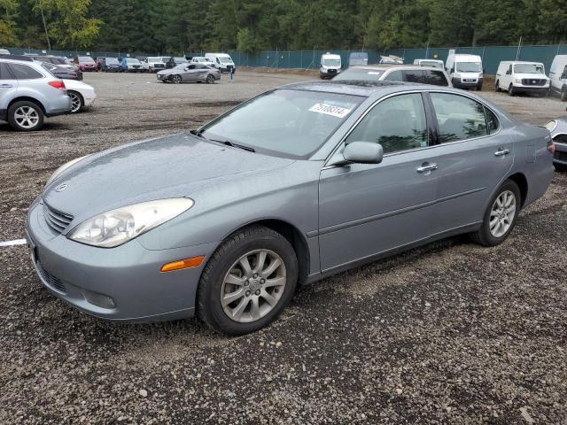 lexus es 300 2003 jthbf30g930100316