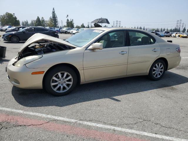 lexus es300 2002 jthbf30gx20068085