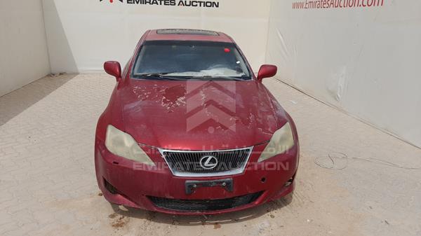 lexus is300 2008 jthbg262482013356