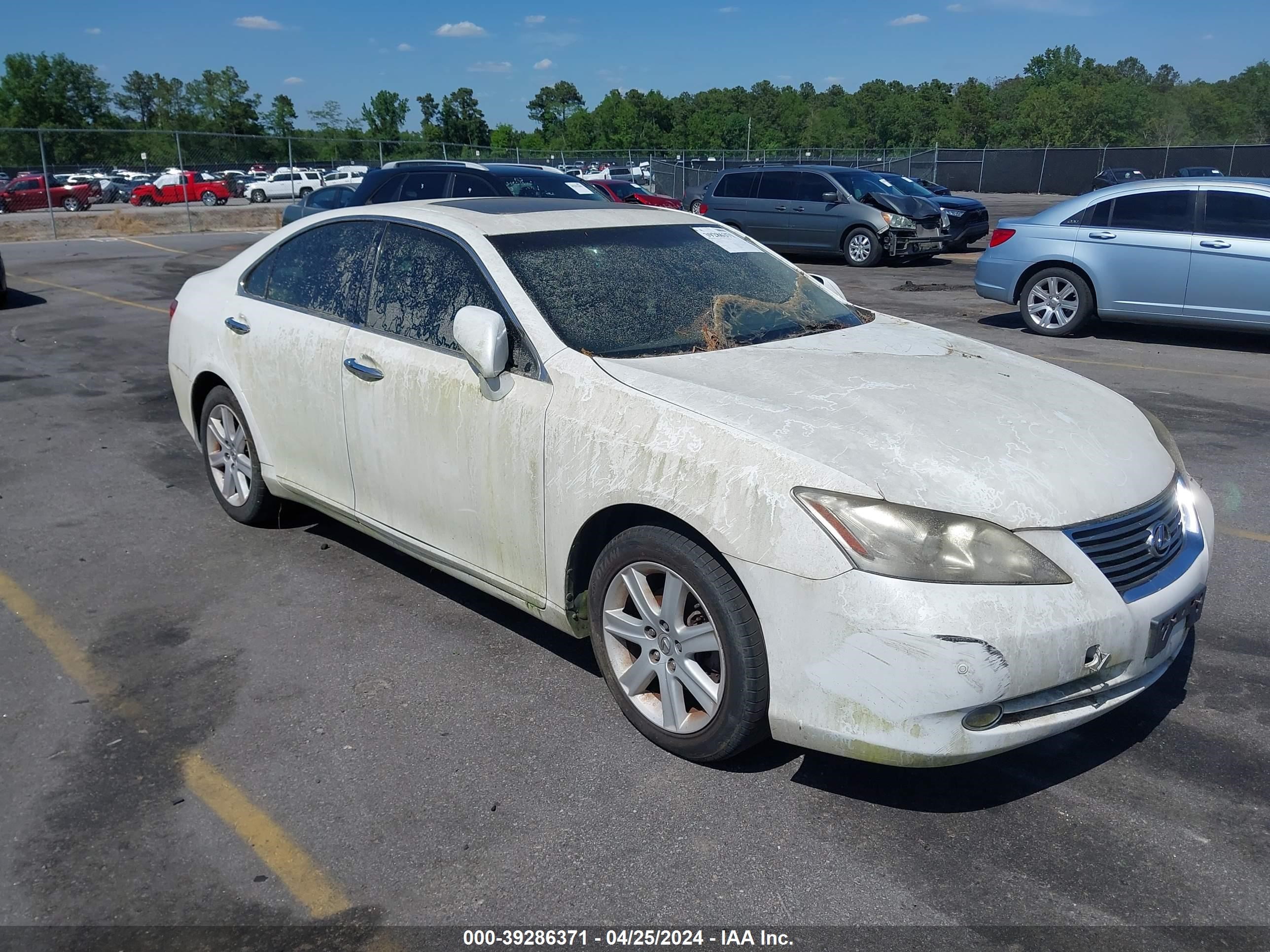 lexus es 2007 jthbj46g372054665