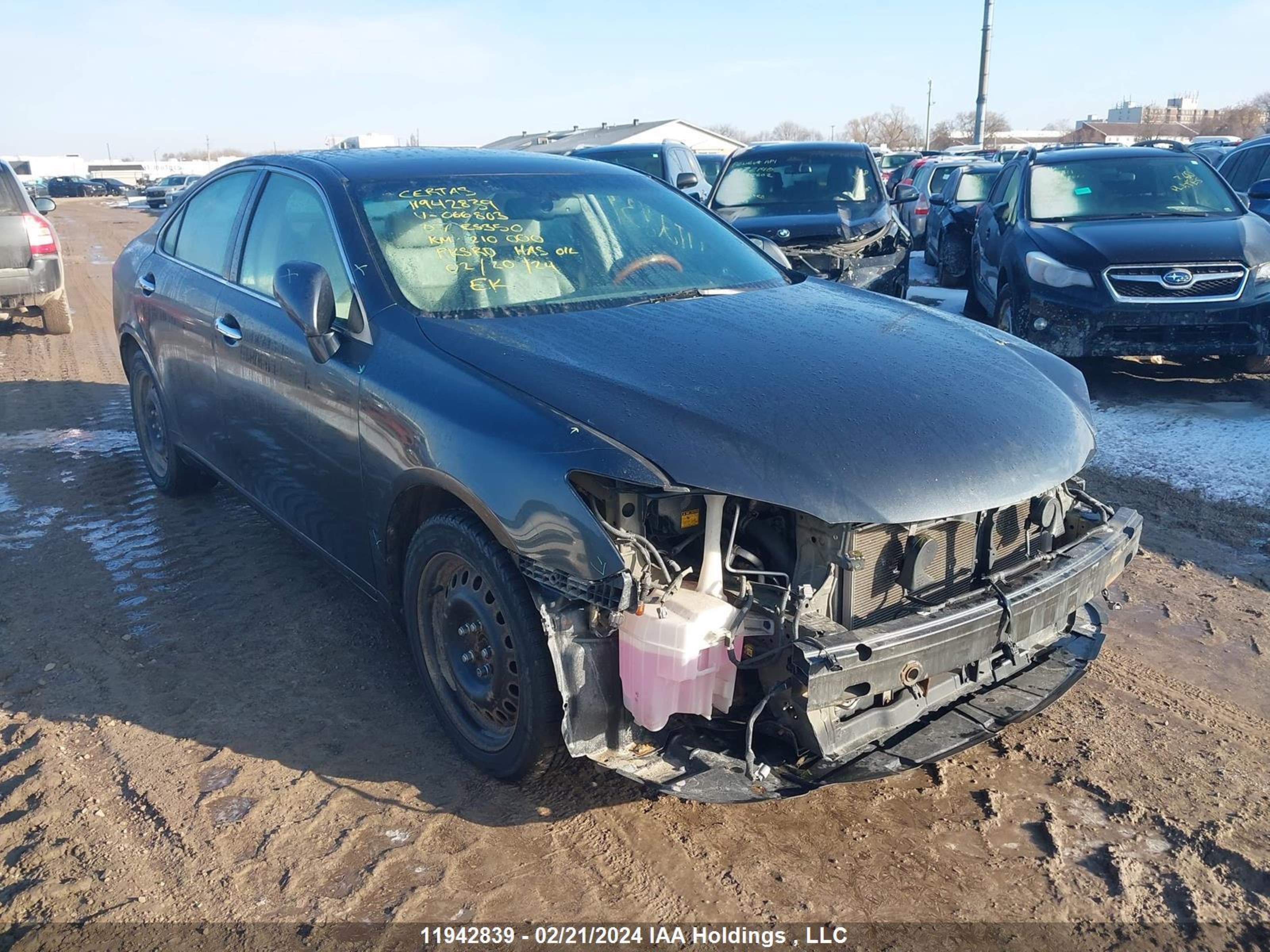 lexus es 2007 jthbj46g572066803