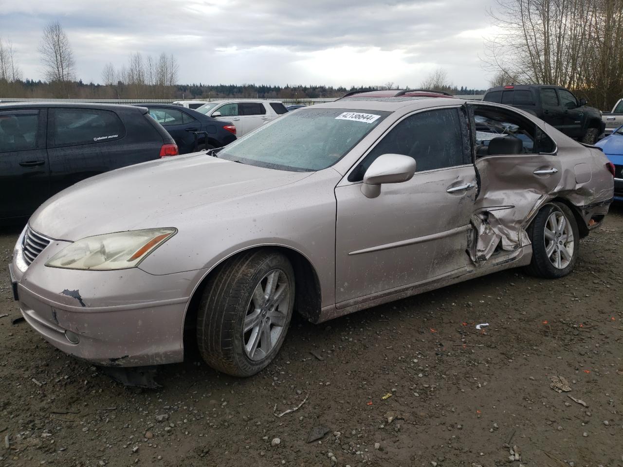 lexus es 2007 jthbj46g672046222