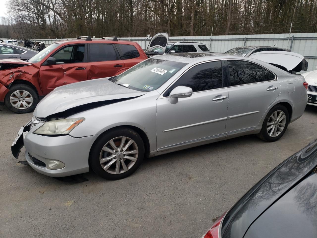 lexus es350 2010 jthbk1eg0a2399446