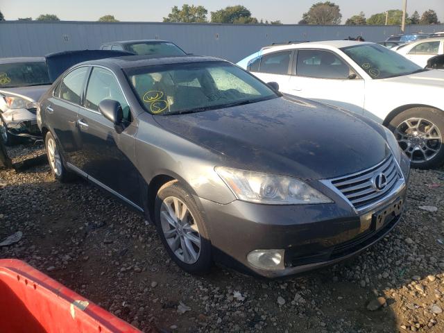 lexus es 350 2010 jthbk1eg0a2404824