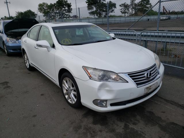 lexus es 350 2010 jthbk1eg0a2407707