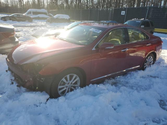 lexus es 350 2010 jthbk1eg1a2353379