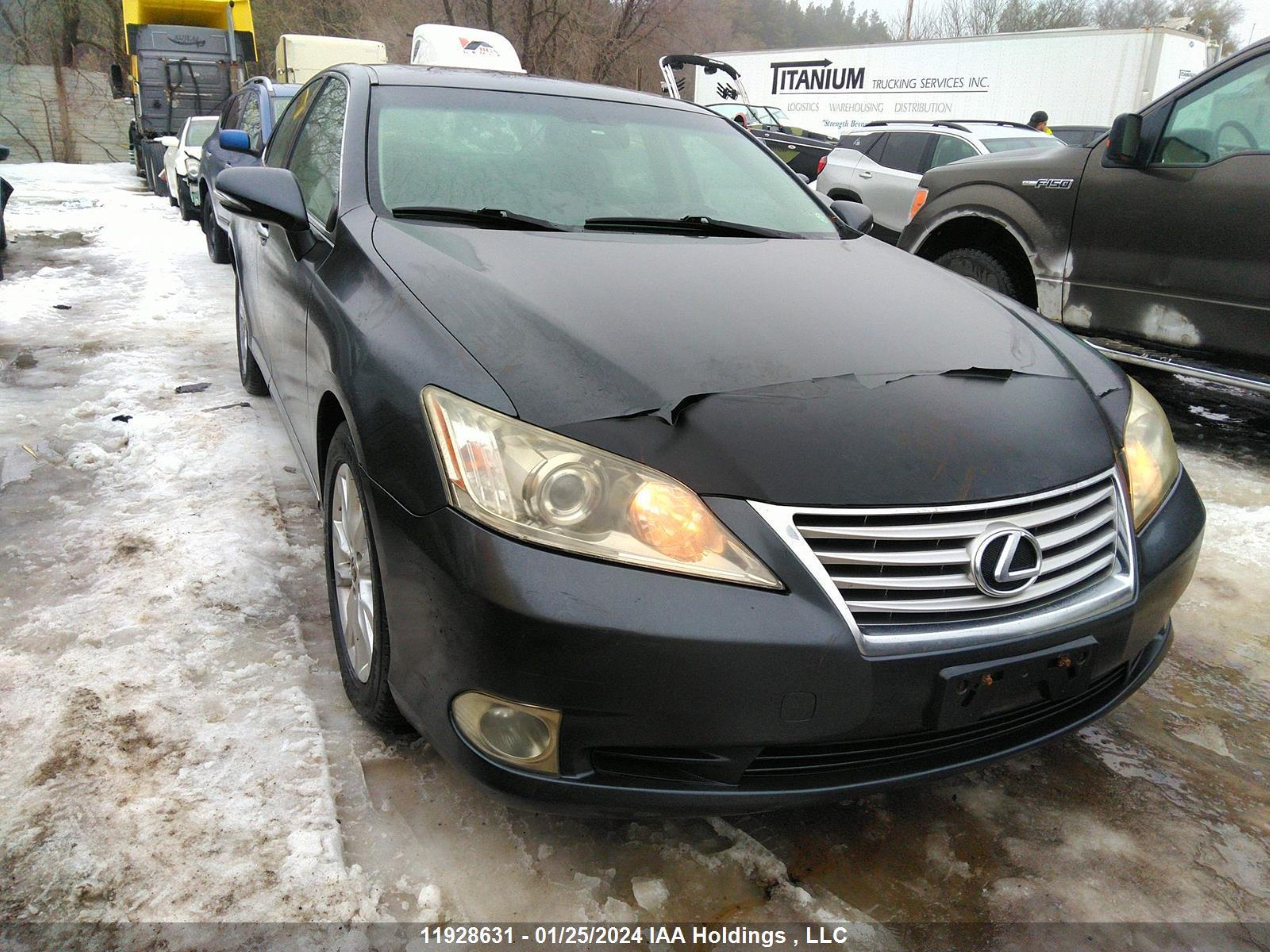 lexus es 2010 jthbk1eg1a2356654