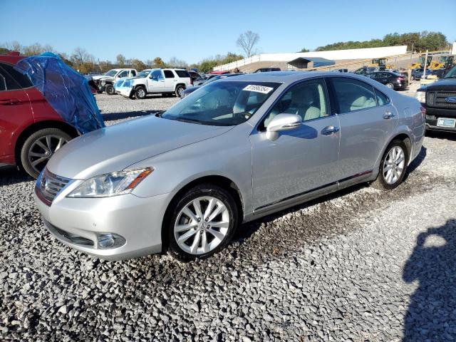 lexus es 350 2010 jthbk1eg1a2362664