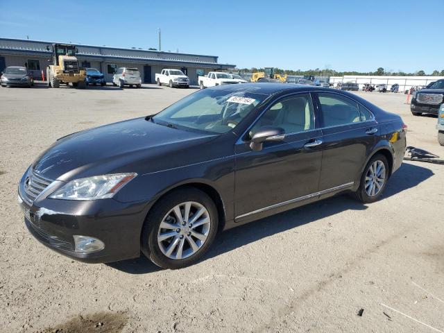 lexus es 350 2011 jthbk1eg1b2435274