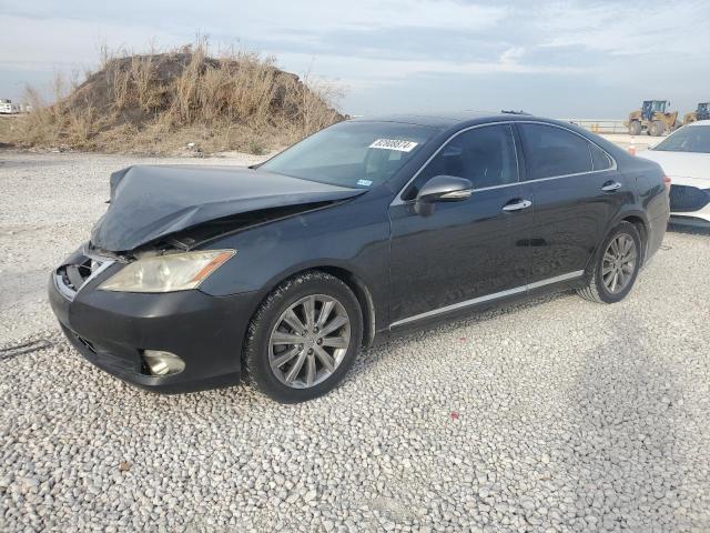 lexus es 350 2010 jthbk1eg2a2349227