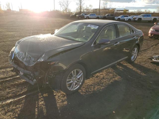 lexus es 350 2010 jthbk1eg2a2353777