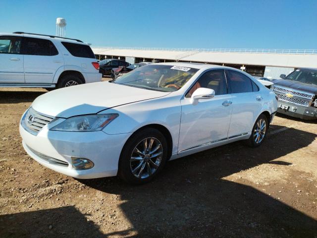 lexus es 350 2010 jthbk1eg2a2363712