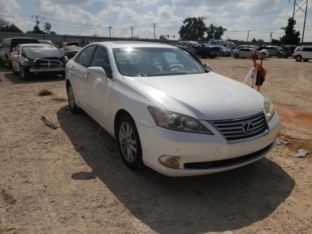 lexus es 350 2010 jthbk1eg2a2371762