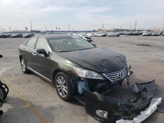 lexus es 350 2010 jthbk1eg2a2376749