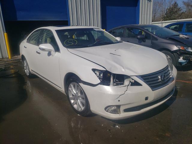 lexus es 350 2010 jthbk1eg2a2389386