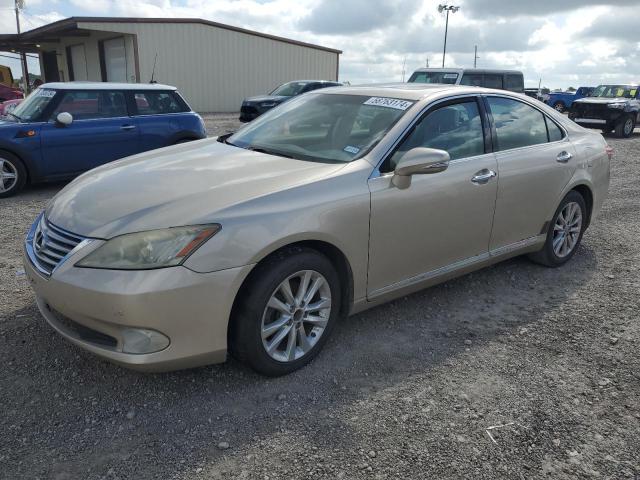 lexus es 350 2010 jthbk1eg2a2394927