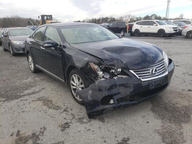 lexus es 350 2010 jthbk1eg2a2408020