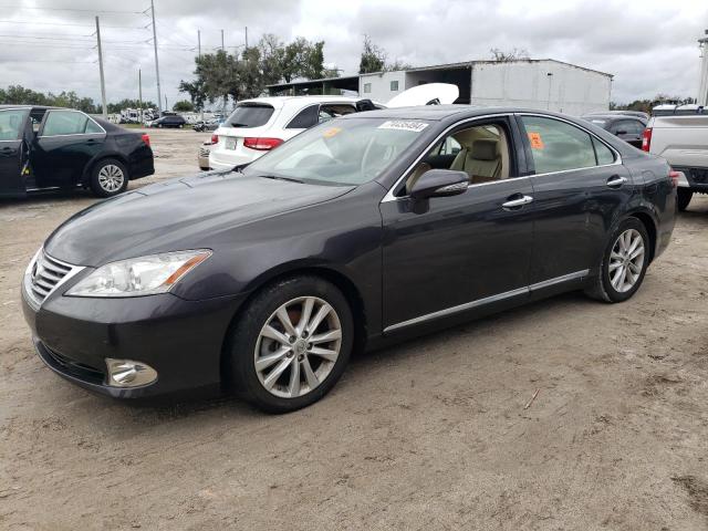 lexus es 350 2012 jthbk1eg2c2499227