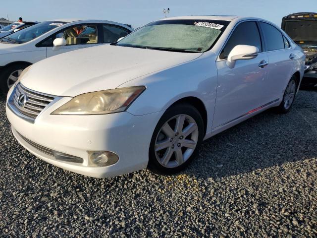 lexus es 350 2010 jthbk1eg3a2354243