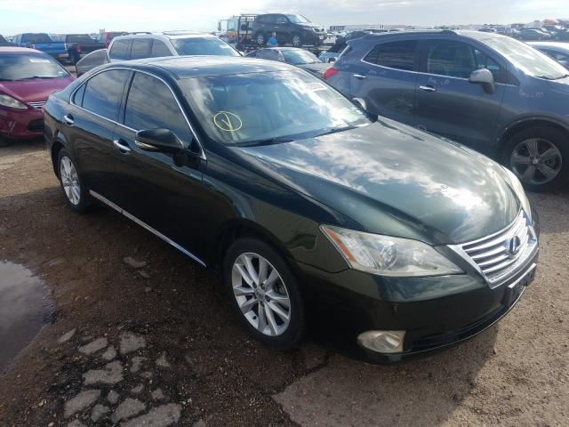 lexus es 350 2010 jthbk1eg3a2362665