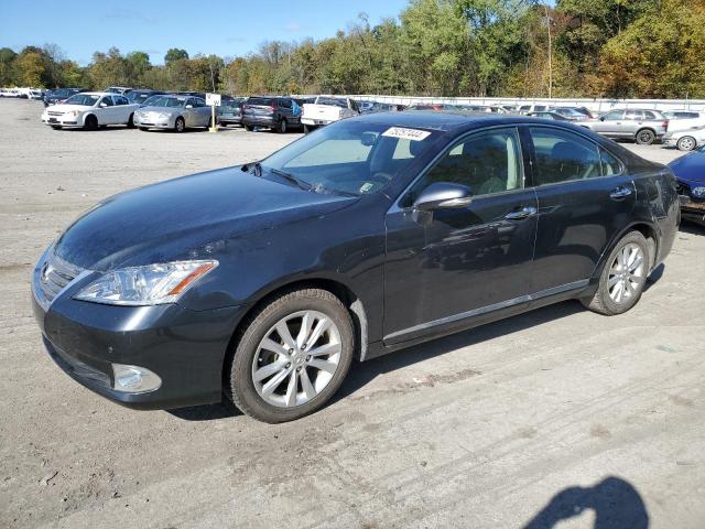 lexus es 350 2010 jthbk1eg3a2390028