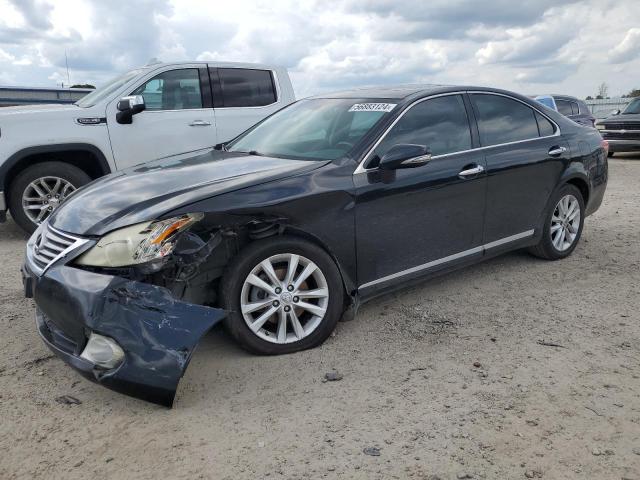 lexus es350 2010 jthbk1eg3a2410360