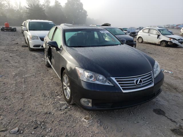 lexus es 350 2011 jthbk1eg3b2462377