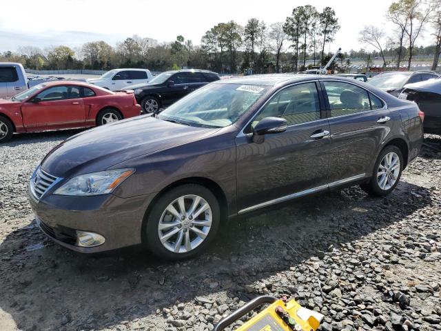 lexus es350 2010 jthbk1eg4a2358026