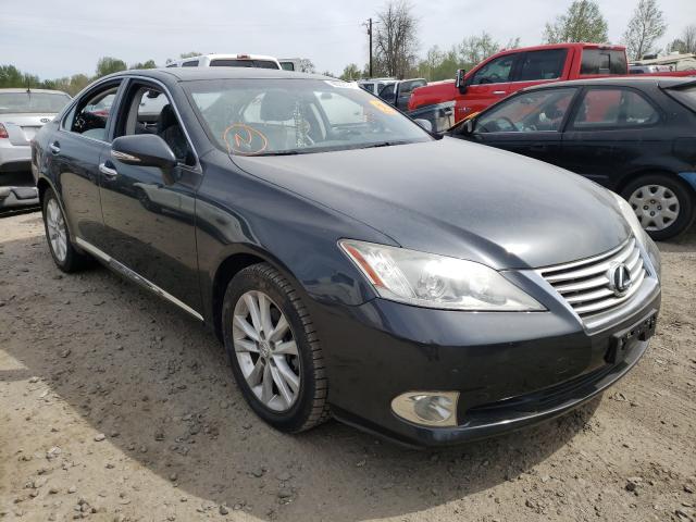 lexus es 350 2010 jthbk1eg4a2362335