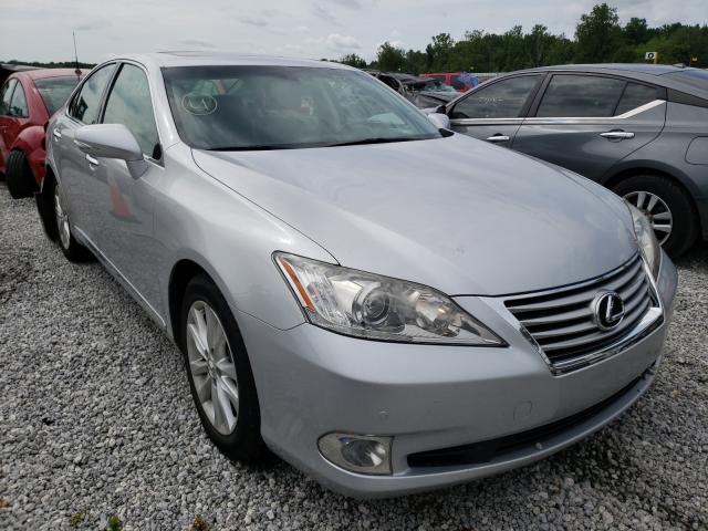 lexus es350 2010 jthbk1eg4a2377692