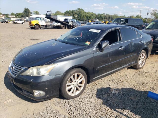 lexus es 350 2010 jthbk1eg4a2394251