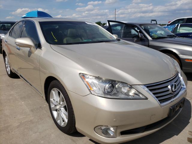 lexus es 350 2010 jthbk1eg4a2412876