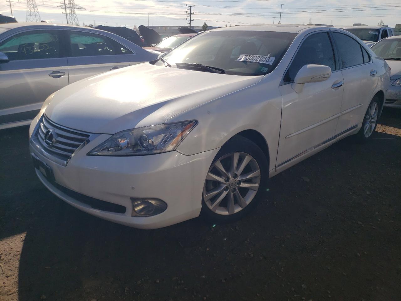 lexus es 350 2010 jthbk1eg4a2414482