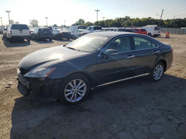 lexus es 350 2010 jthbk1eg5a2368998