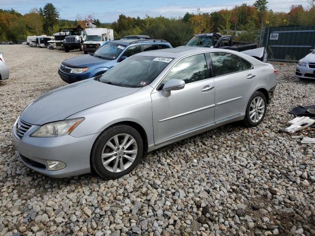 lexus es 350 2010 jthbk1eg5a2373375