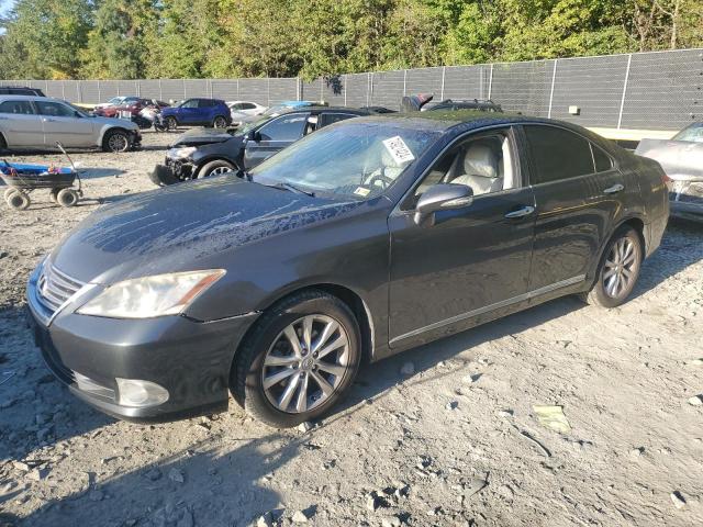 lexus es 350 2010 jthbk1eg5a2409758