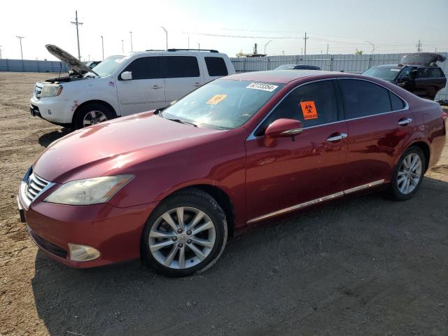 lexus es350 2010 jthbk1eg5a2414149