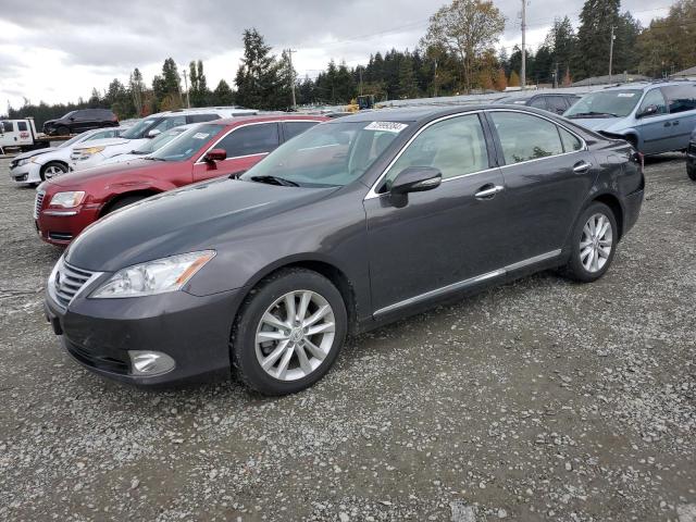 lexus es 350 2011 jthbk1eg5b2420003