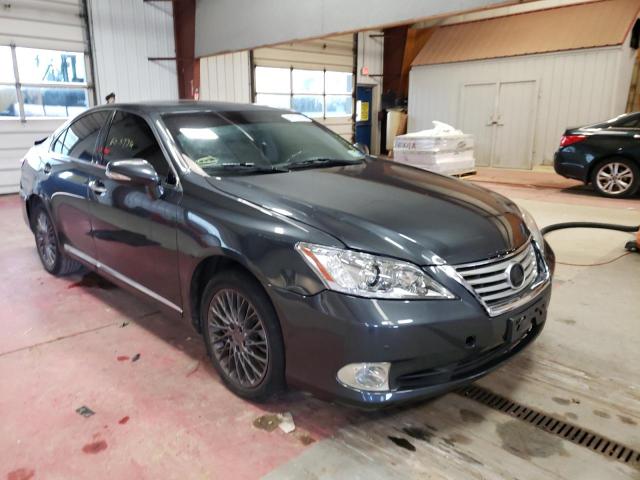 lexus es 350 2010 jthbk1eg6a2342894