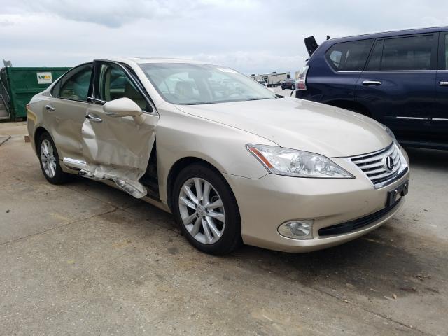 lexus es 350 2010 jthbk1eg6a2379380