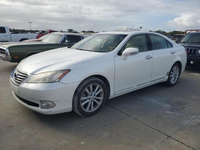 lexus es 350 2010 jthbk1eg6a2392811