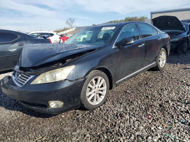 lexus es 350 2010 jthbk1eg7a2377072